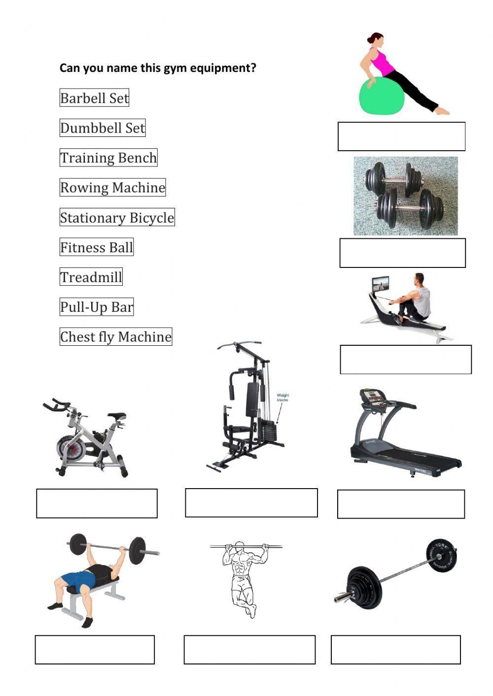 Fitness Equipment worksheet | Live Worksheets