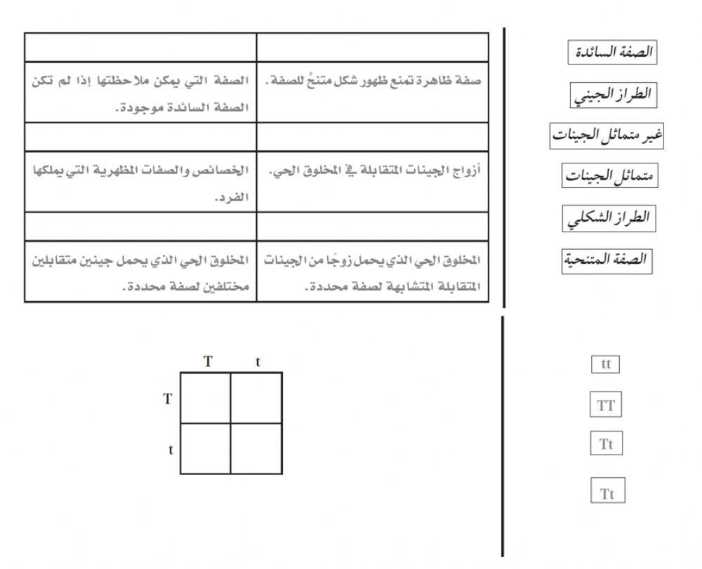 قانون مندل