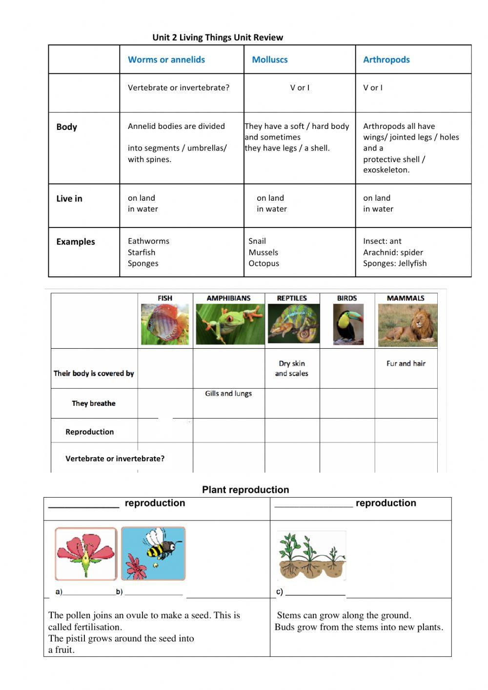 Living Things-Vertebrate and Invertebrate Animals. Plant reproduction