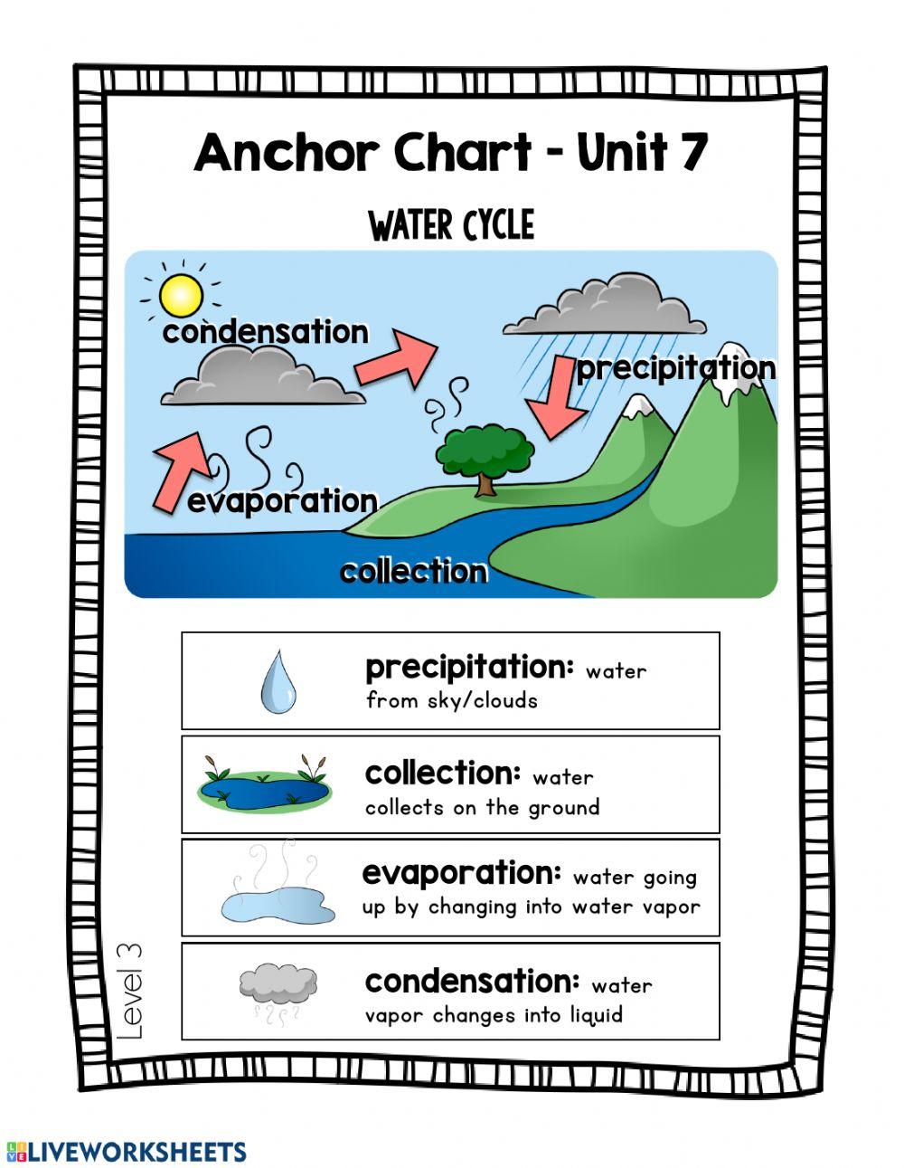 The Water Cycle - Day 3 worksheet | Live Worksheets