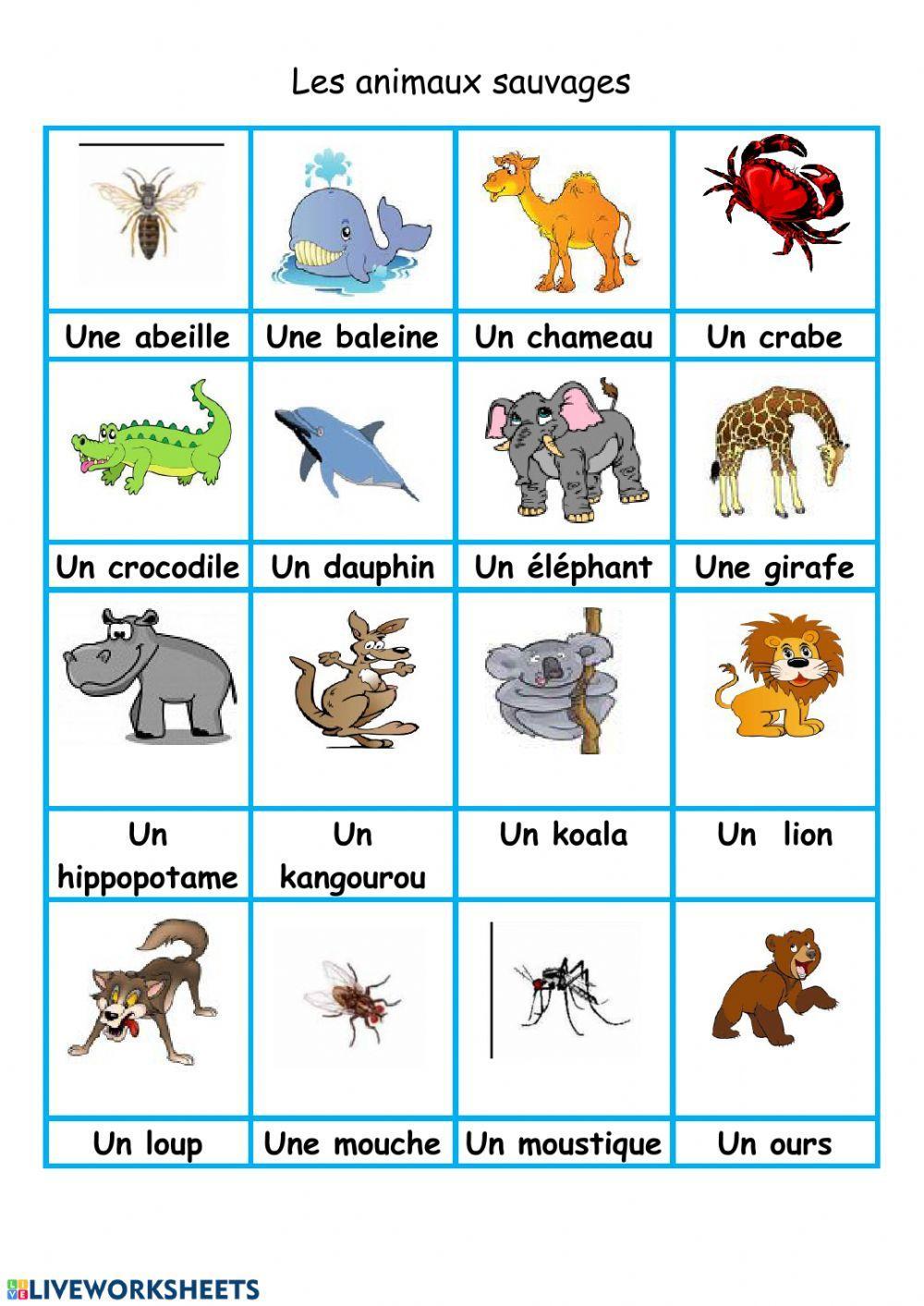 Vocabulaire : les animaux sauvages – Tout le français