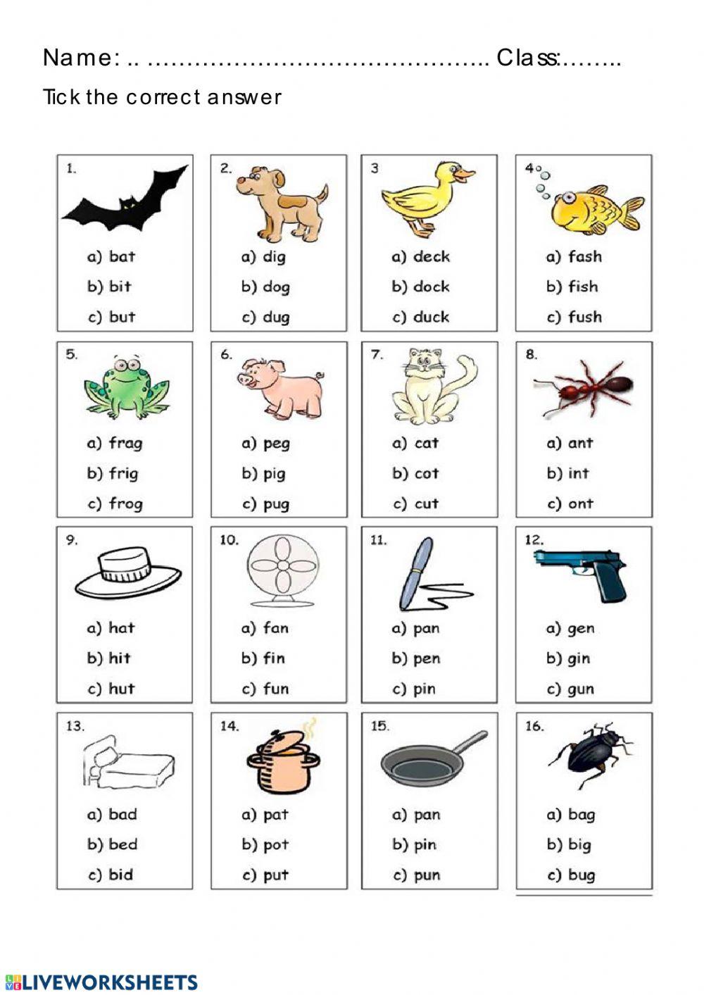 Short Vowels