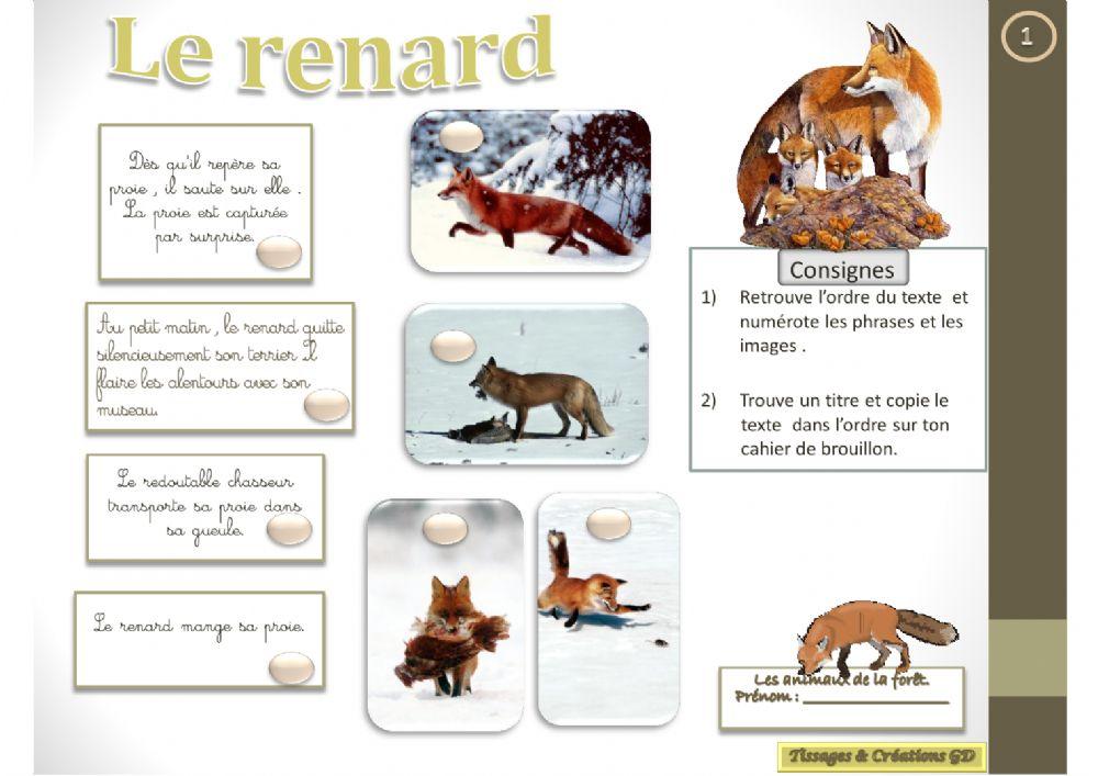 Lecture - Le renard worksheet | Live Worksheets