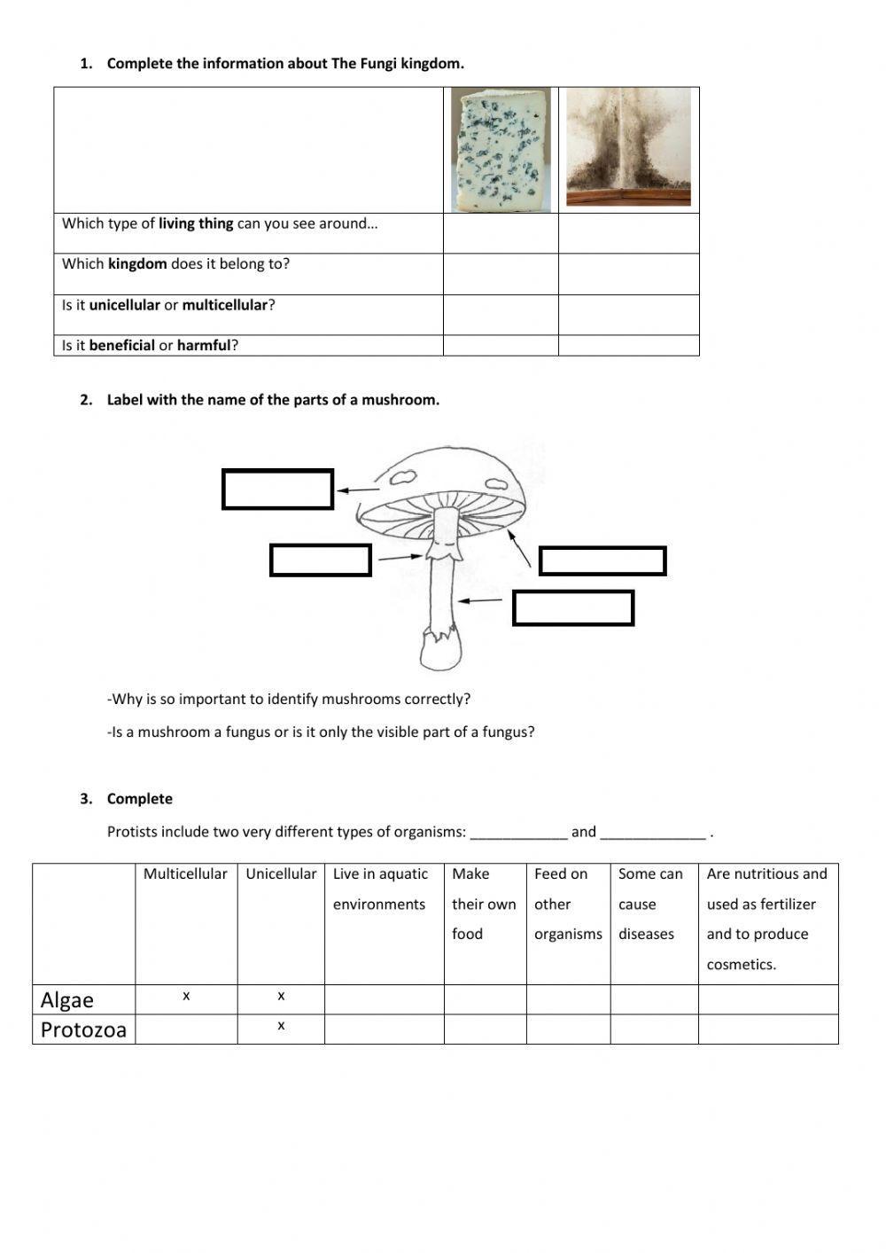 Fungi, protozoa and monera kingdom