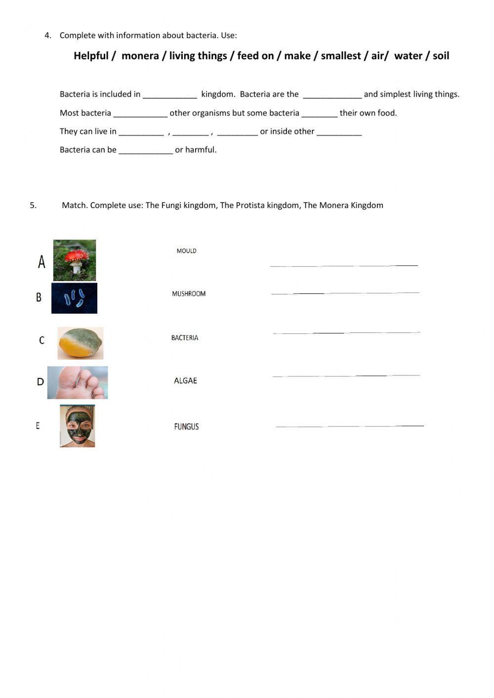 Fungi, protozoa and monera kingdom