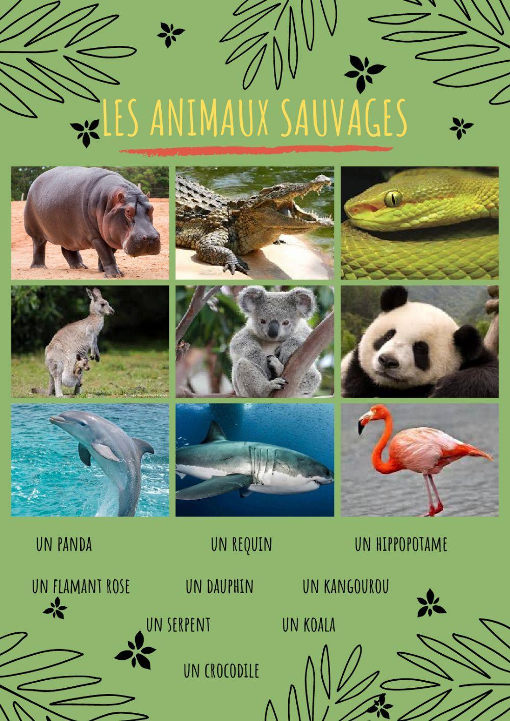 Les animaux sauvages.