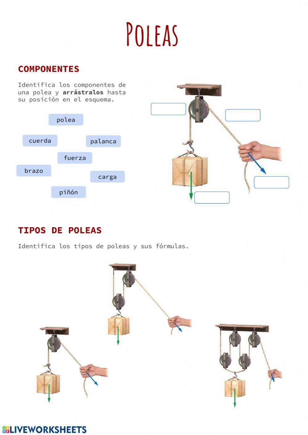 Poleas interactive worksheet | Live Worksheets