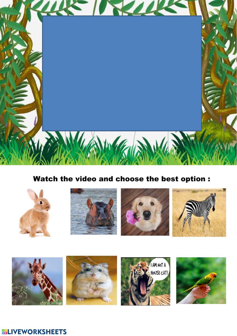 Wild animals and pets worksheet | Live Worksheets