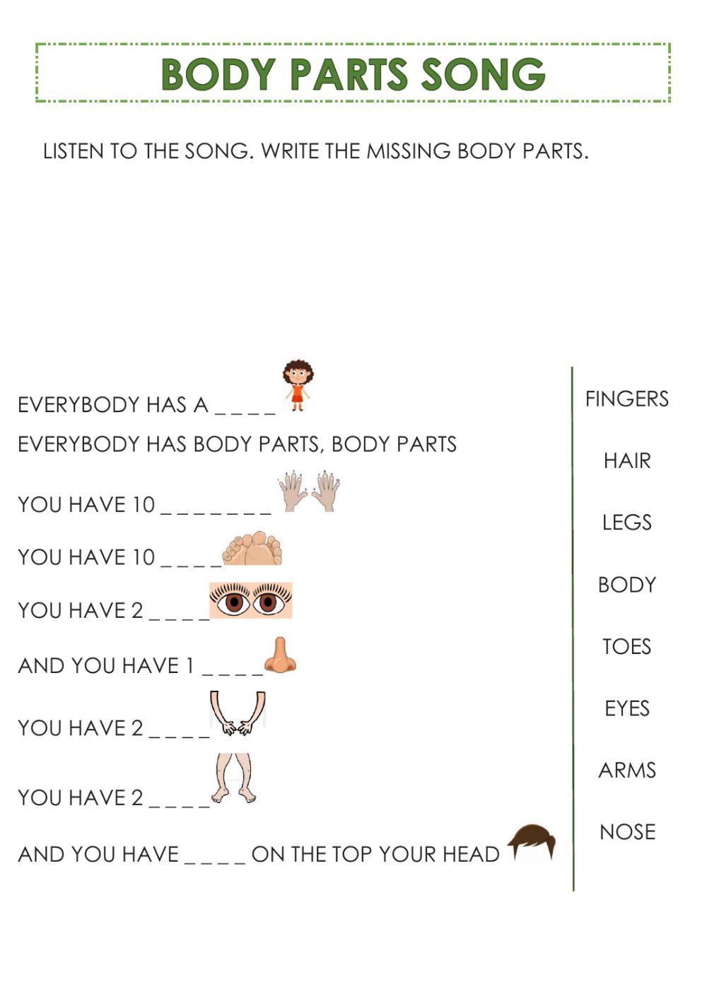 Body Parts Song interactive worksheet | Live Worksheets
