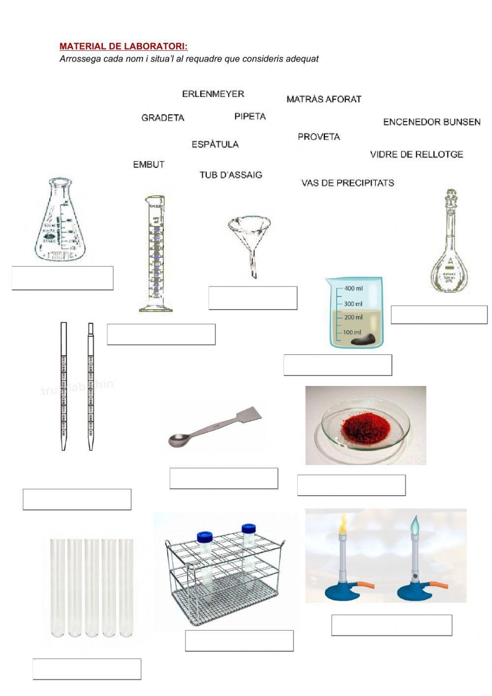 FQ-Material laboratori worksheet | Live Worksheets