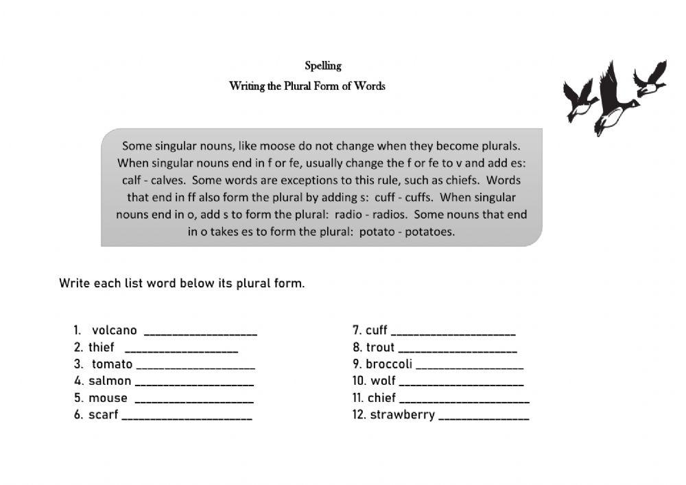 Spelling for irregular plural nouns interactive worksheet | Live Worksheets