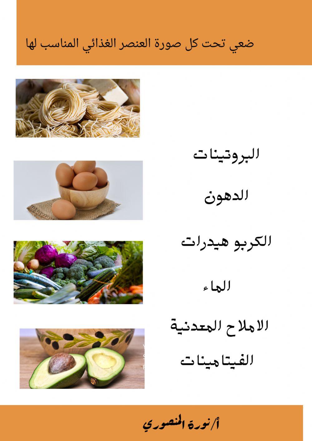 العناصر الغذائية worksheet | Live Worksheets