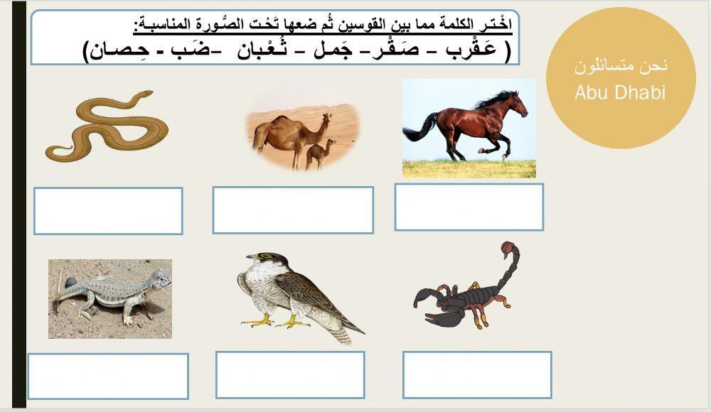 ورقة عمل حيوانات الصحراء online exercise for | Live Worksheets