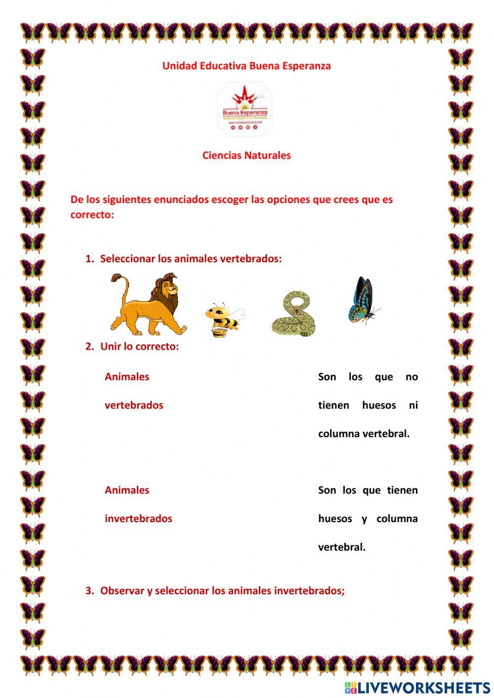 Animales vertebrados e invertebrados