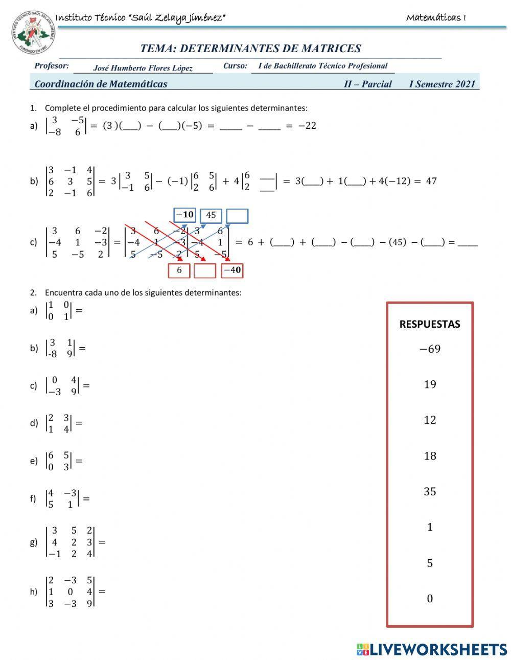 Determinantes de Matrices worksheet | Live Worksheets