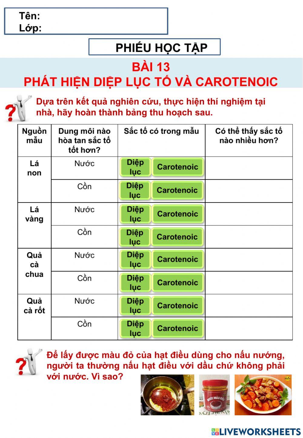 Sinh 11 Bài 13 - thu hoạch