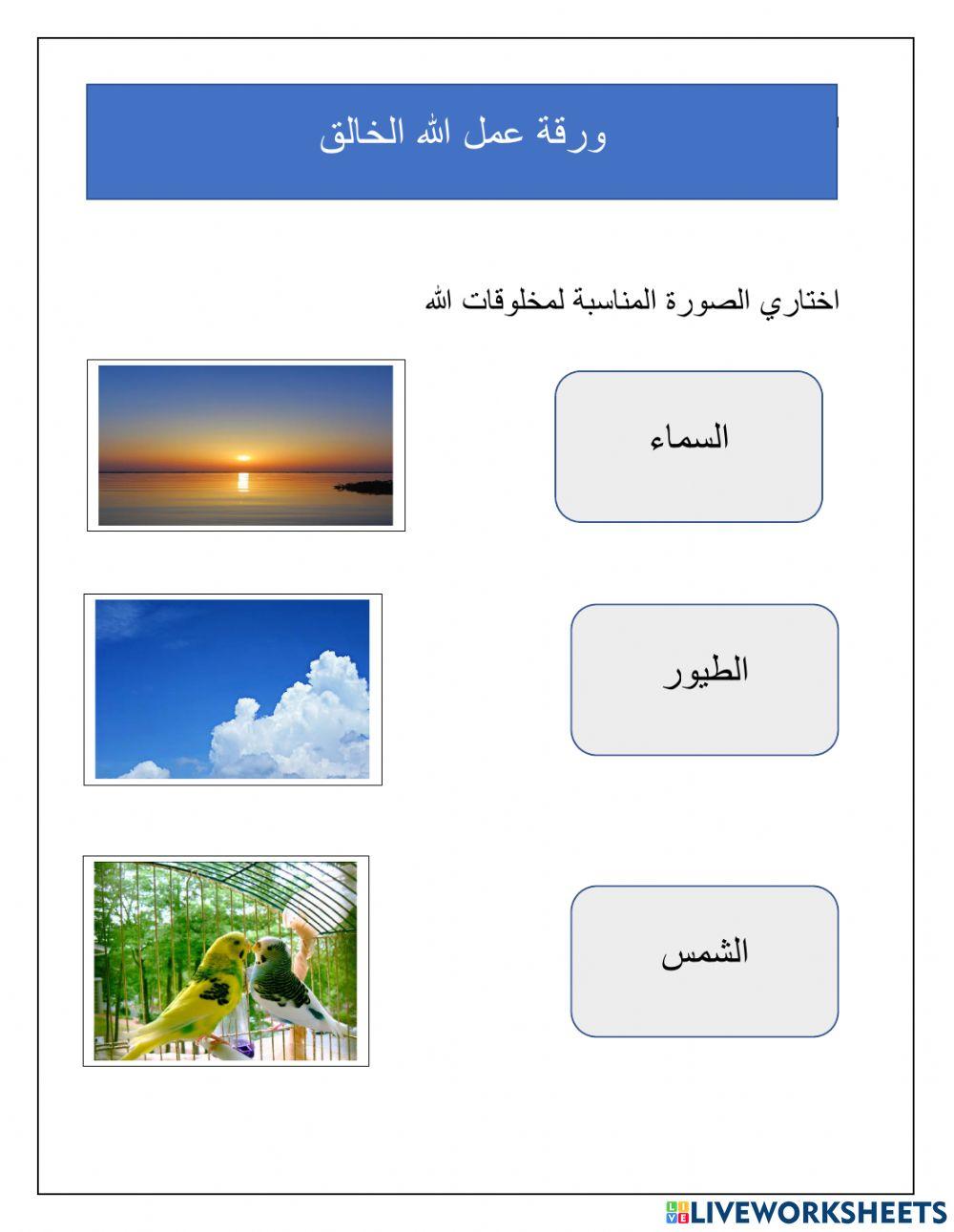 الله الخالق exercise | Live Worksheets