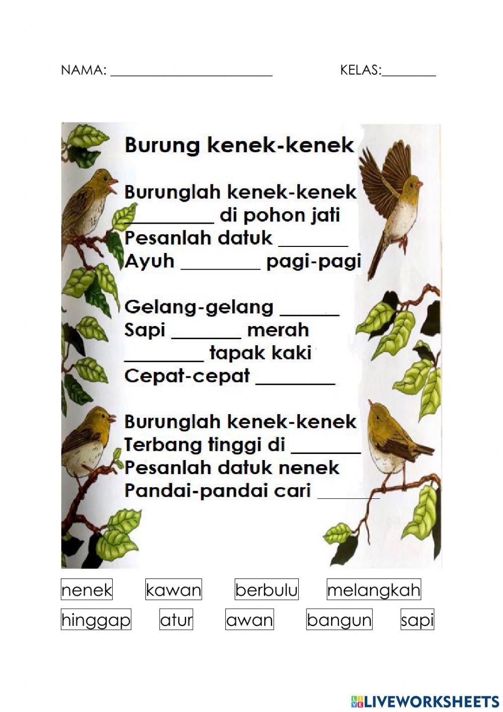 Burung kenek-kenek