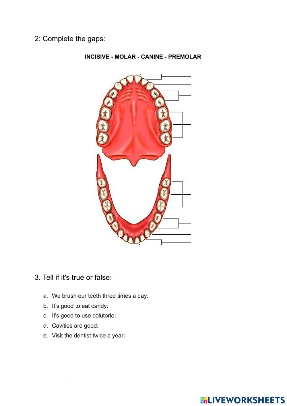 Oral cavity exercises