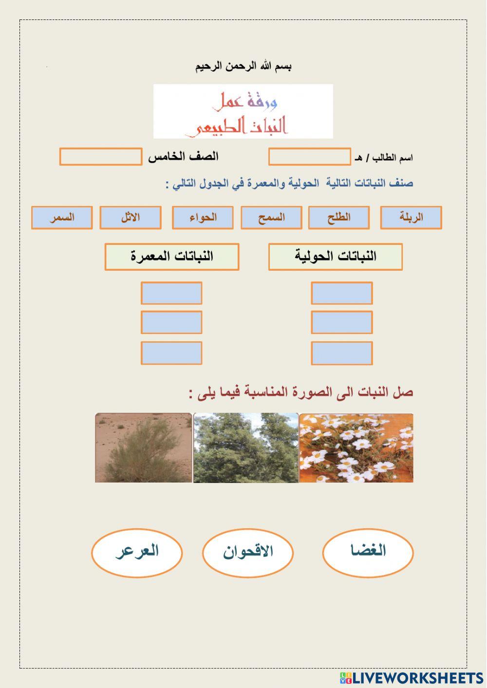 ورقة عمل  النبات الطبيعي  خامس اجتماعيات