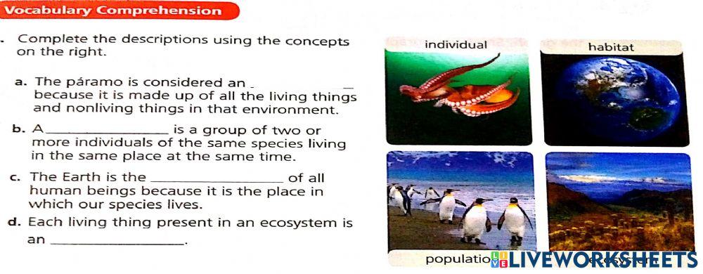 Ecosystem