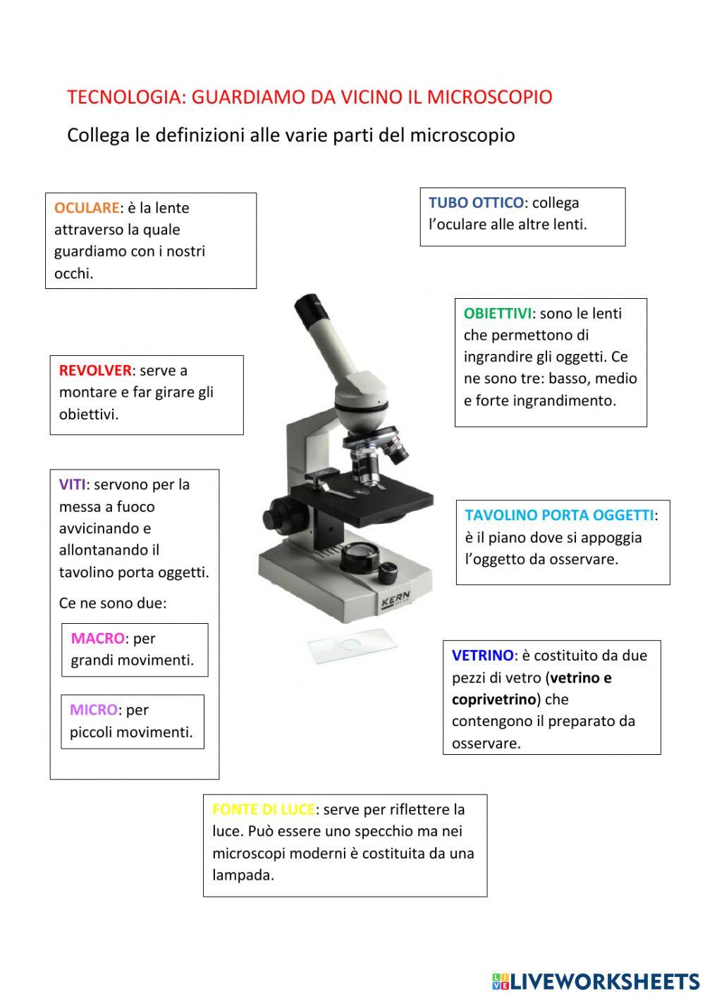 Il microscopio worksheet | Live Worksheets