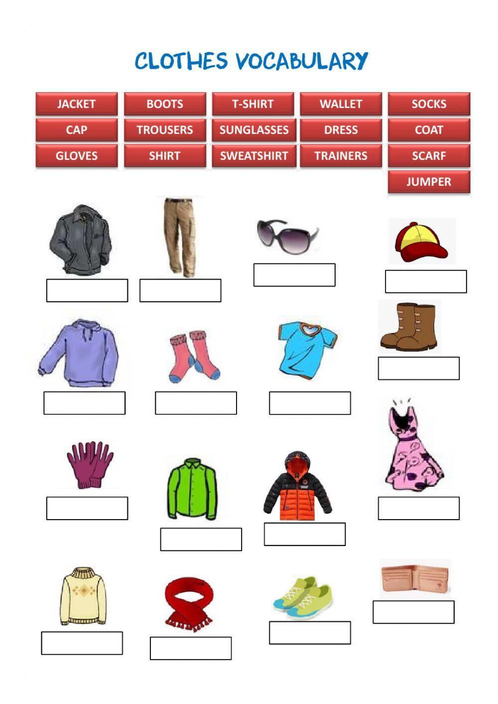 Clothes vocabulary worksheet for Grade 4 | Live Worksheets