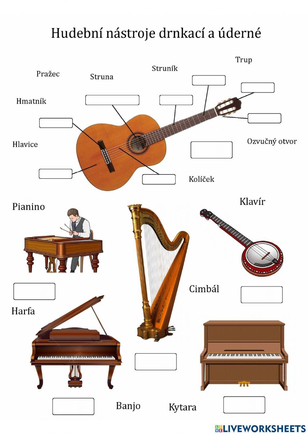 Hudební nástroje drnkací a úderné interactive worksheet | Live Worksheets