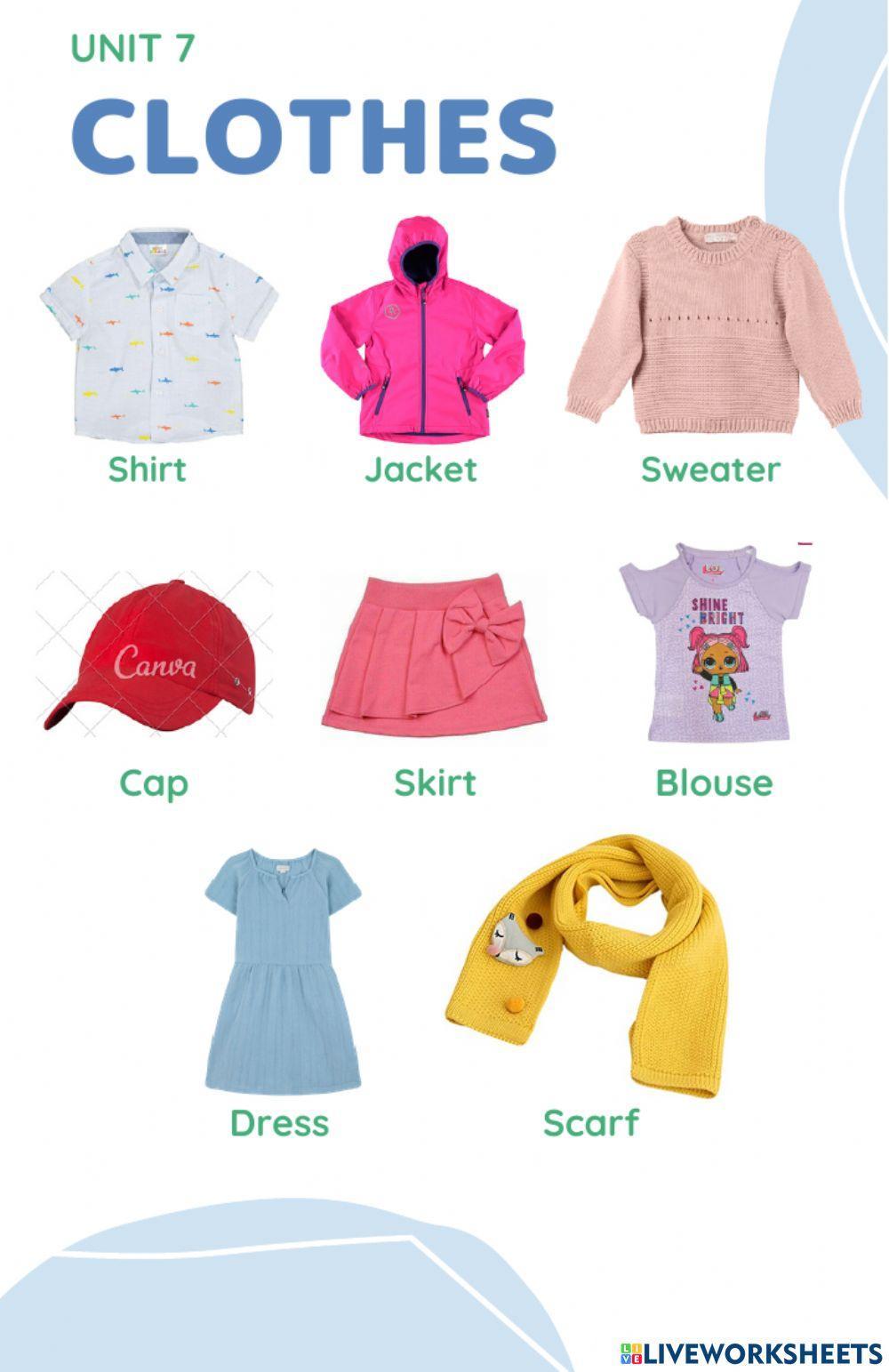 Clothes Vocabulary online activity for Preschool 2 | Live Worksheets