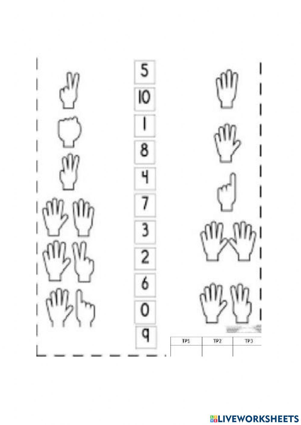 Match and count fingers.