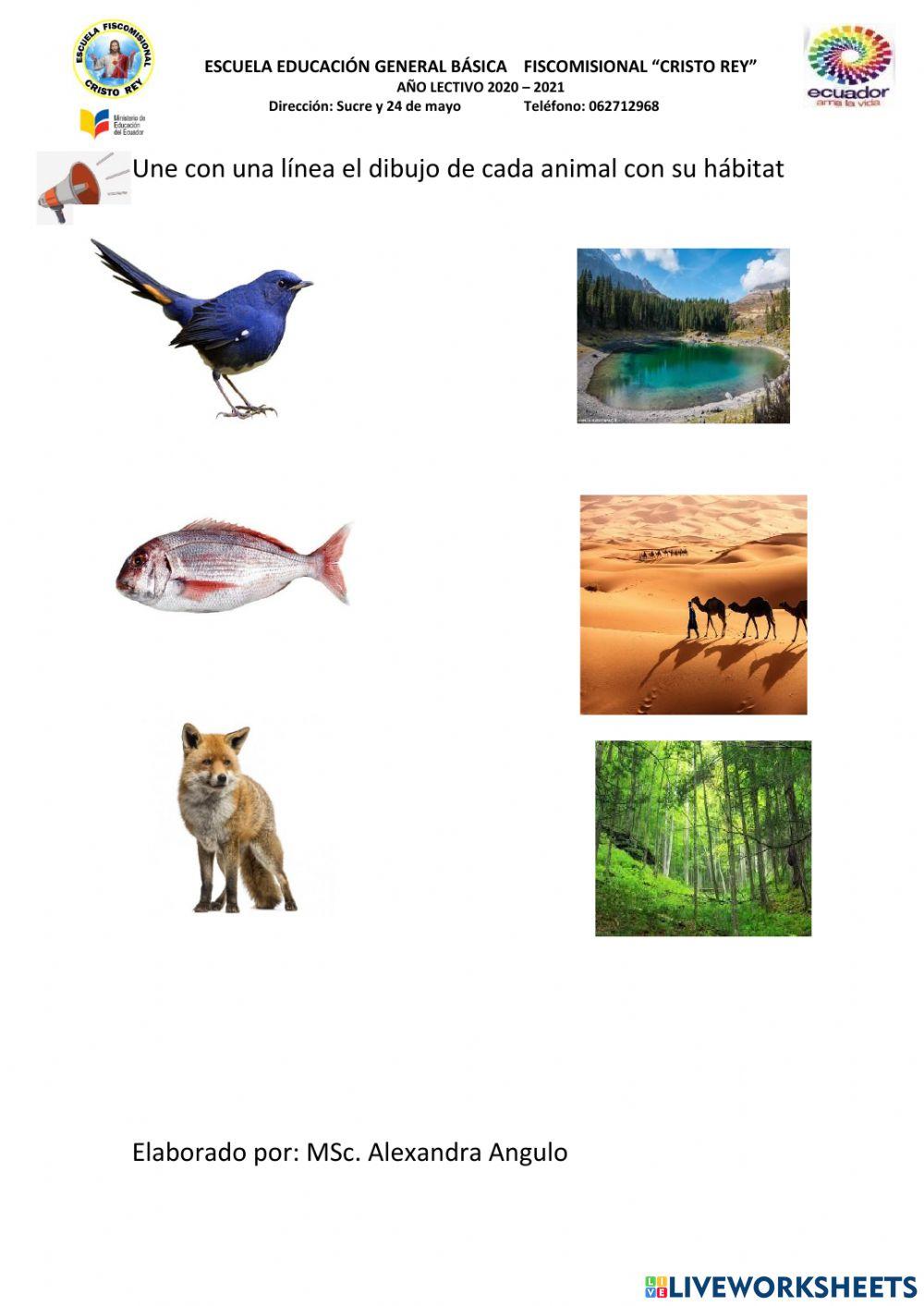 Tipos de hábitat