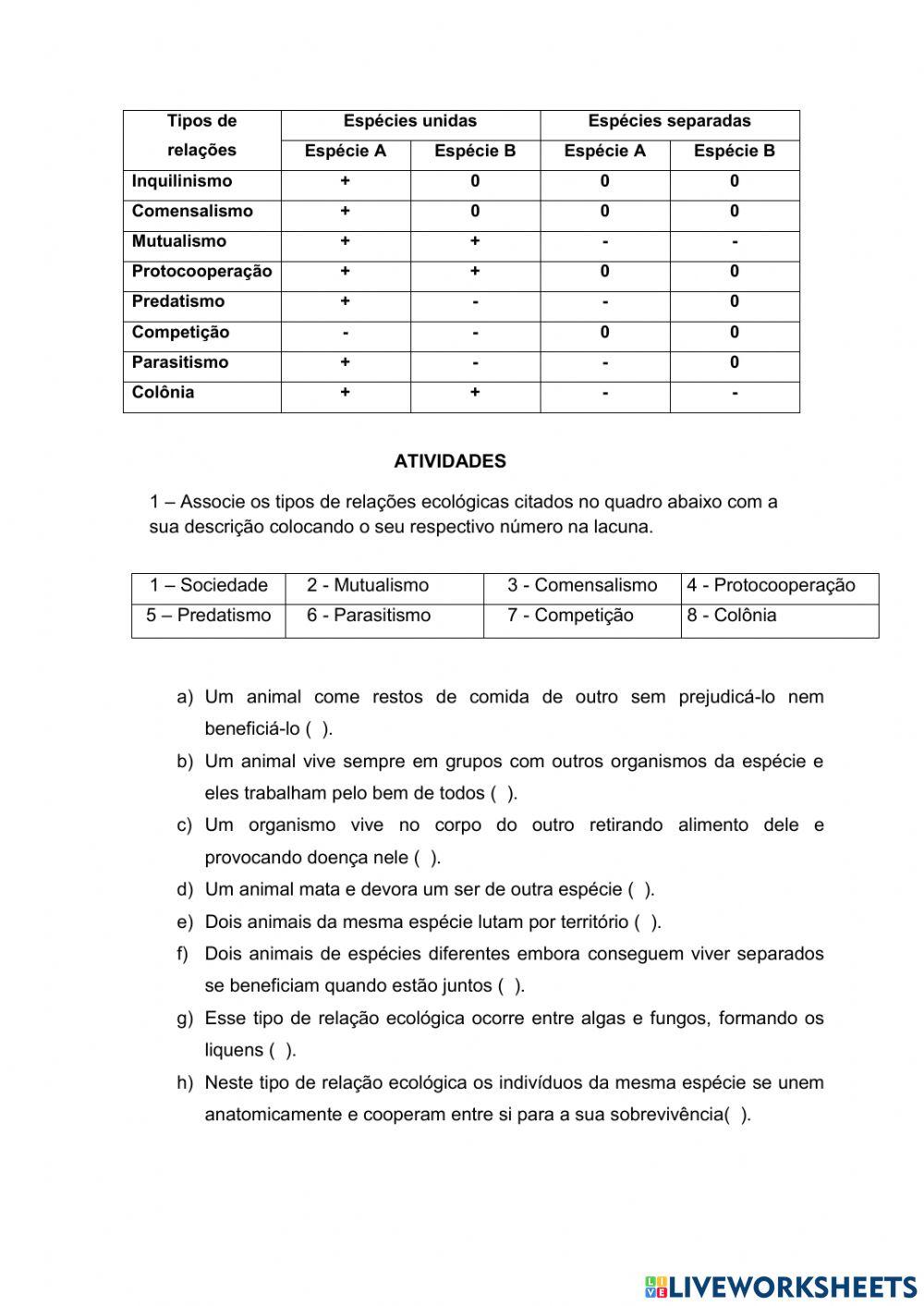 Relações ecológicas - Resumo