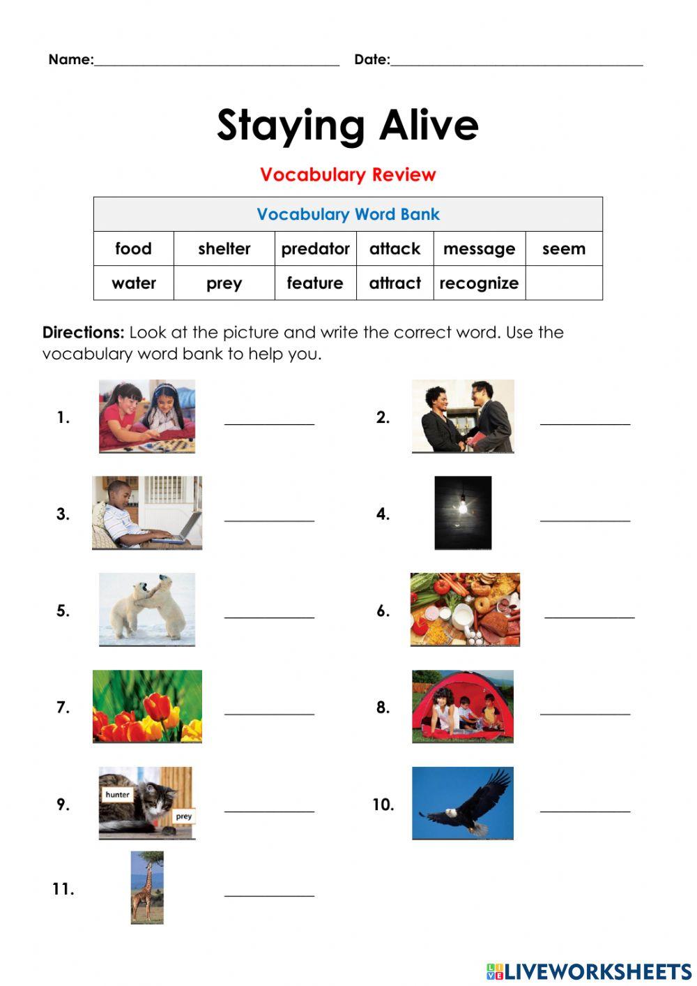 Vocabulary Review