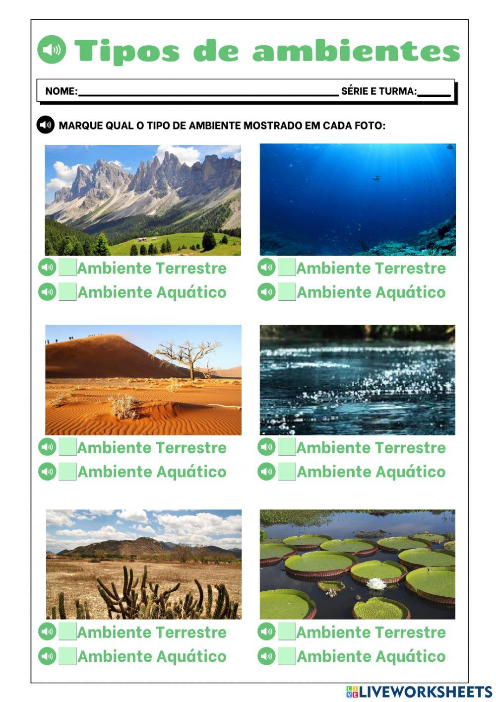 Ambientes do Planeta Terra worksheet | Live Worksheets