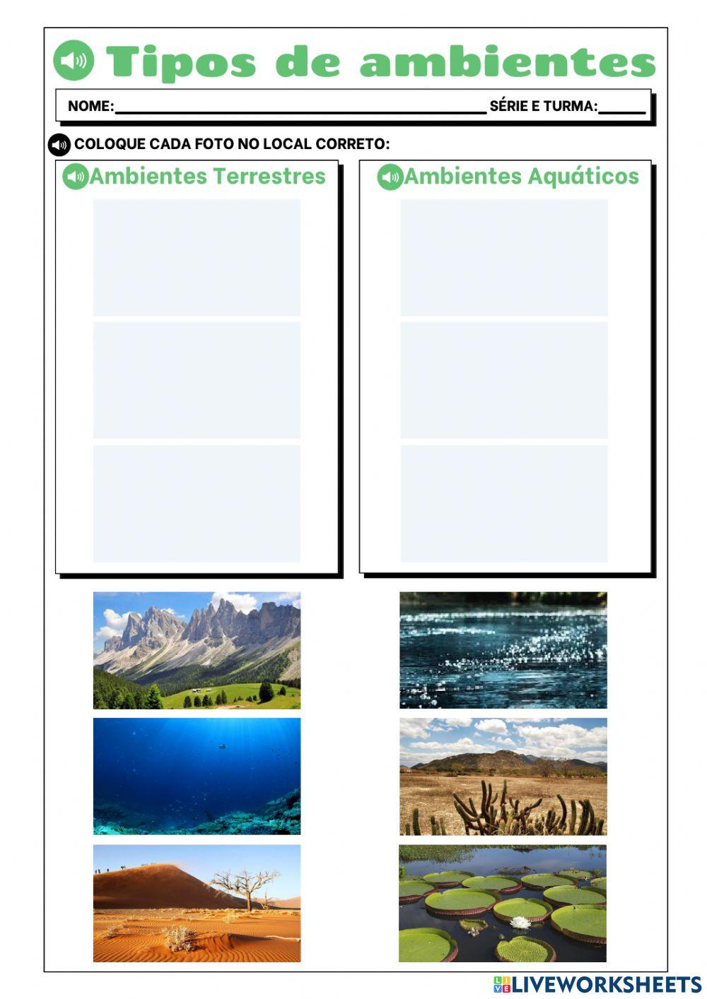 Ambientes do Planeta Terra interactive worksheet | Live Worksheets