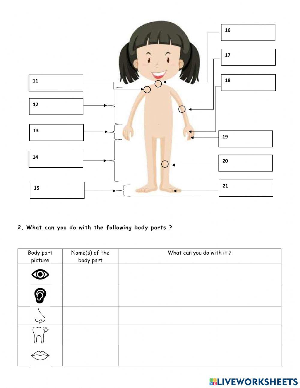 Body parts and what can you do with them worksheet | Live Worksheets