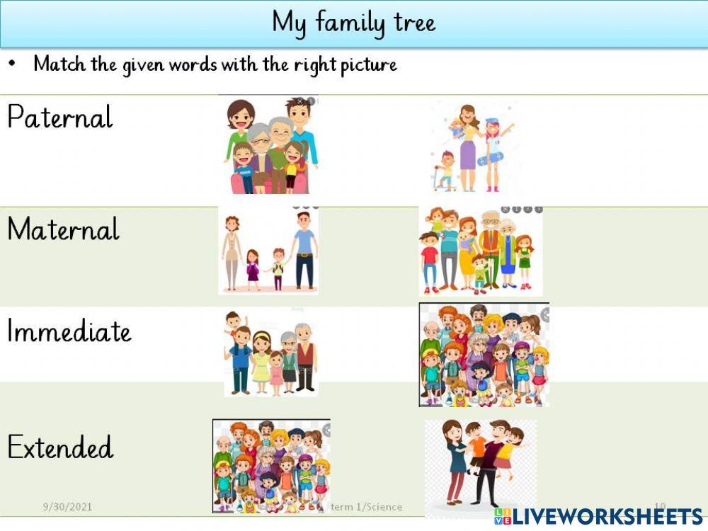 Family types online activity | Live Worksheets