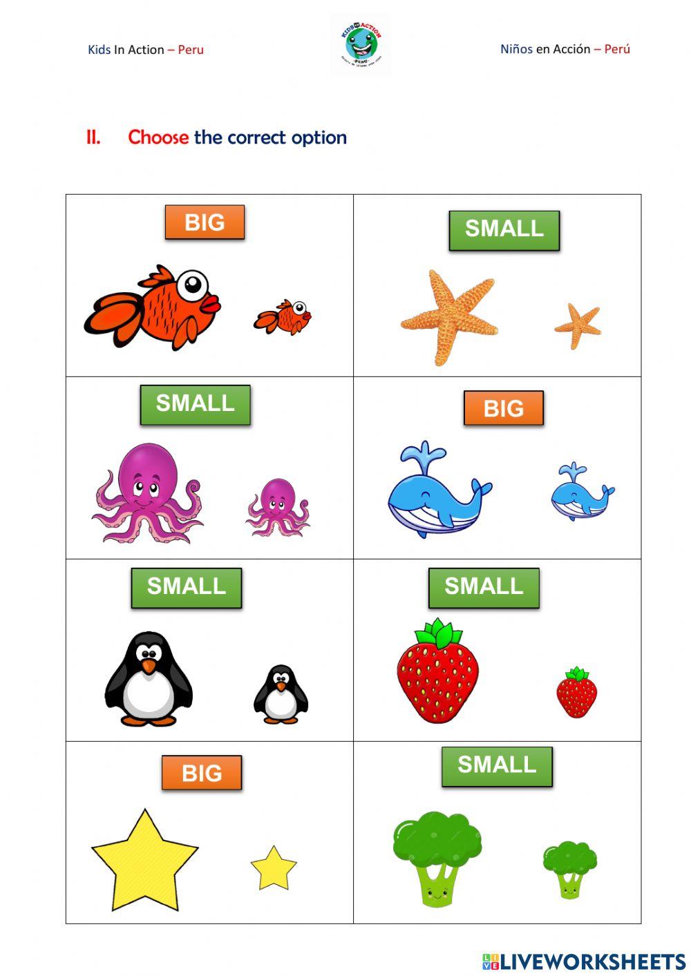 Big and Small  Live Worksheets