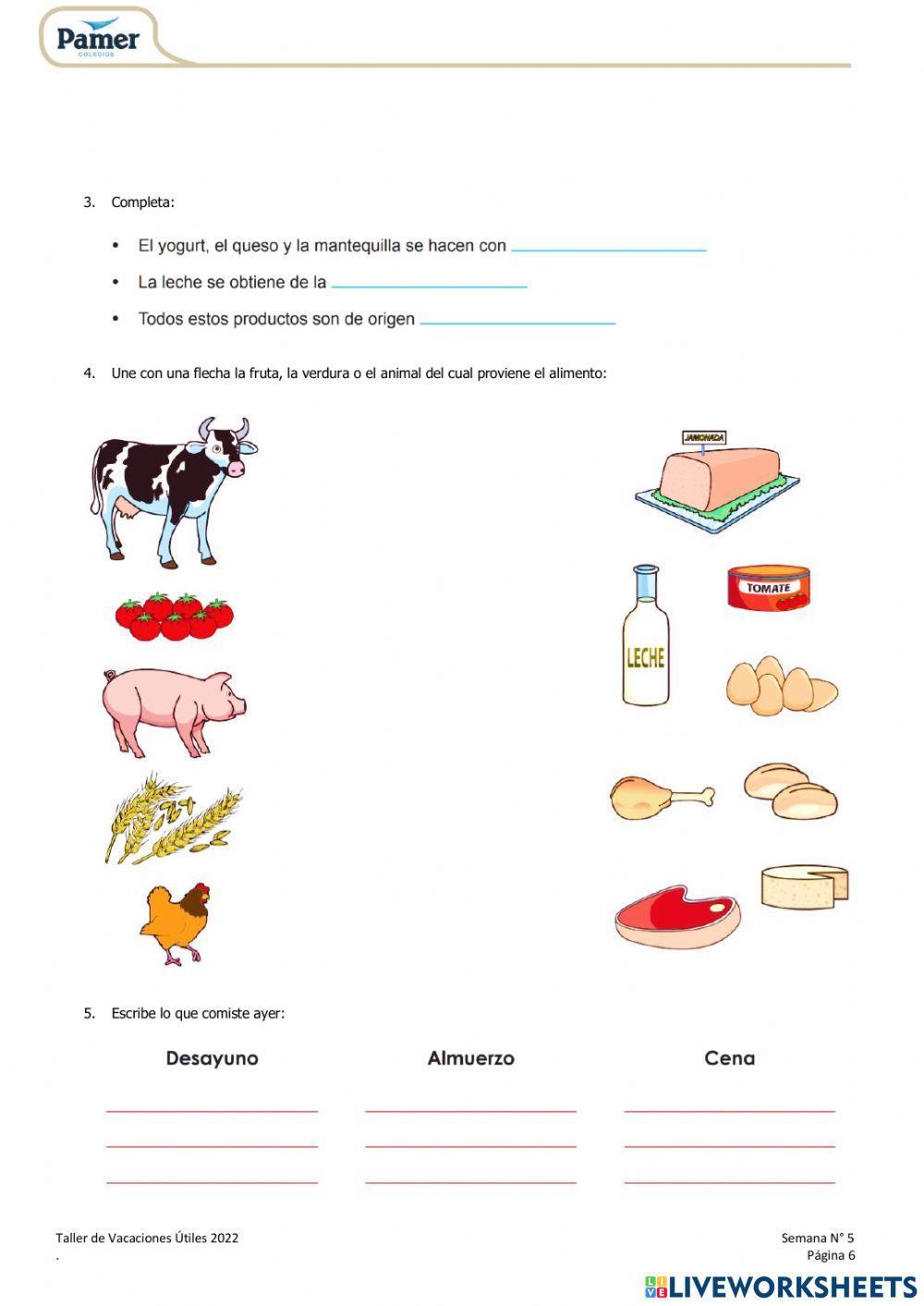 La dieta balanceda