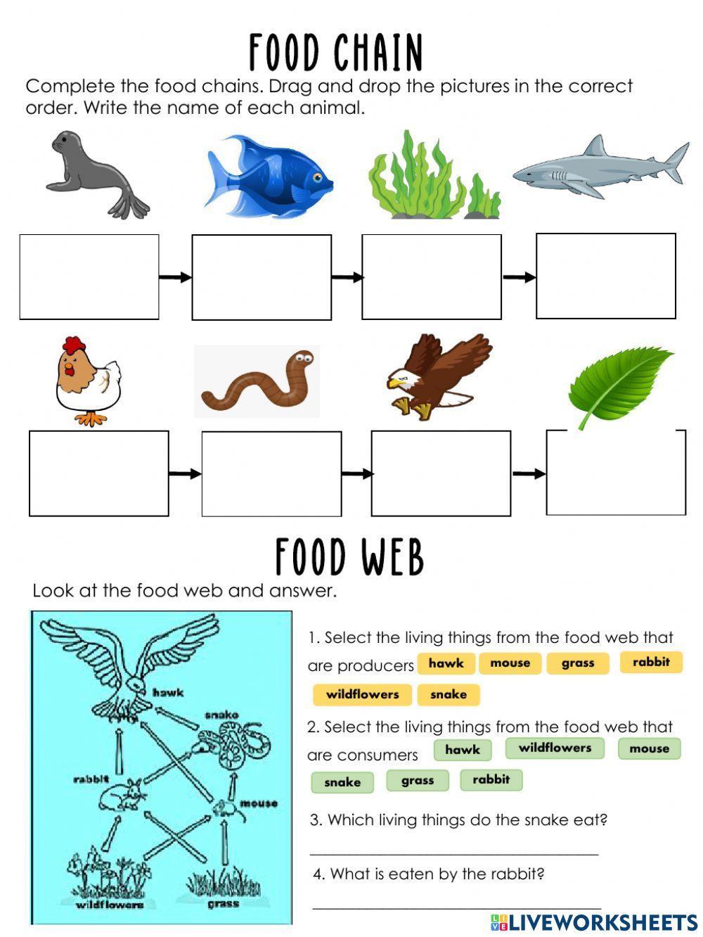 Food Chain Worksheet 2 worksheet | Live Worksheets