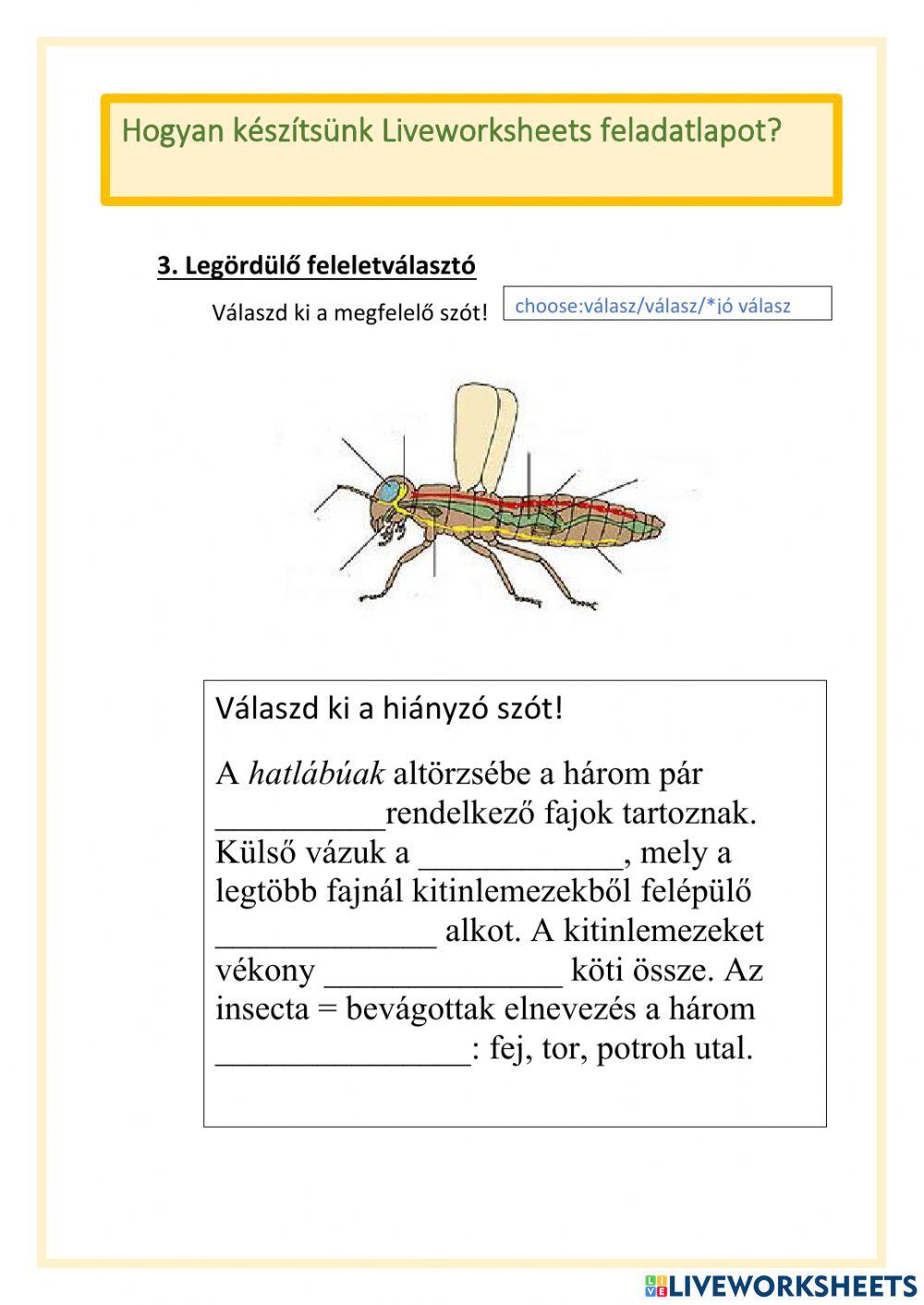 Hogyan készítsünk Liveworksheets feladatlapot?