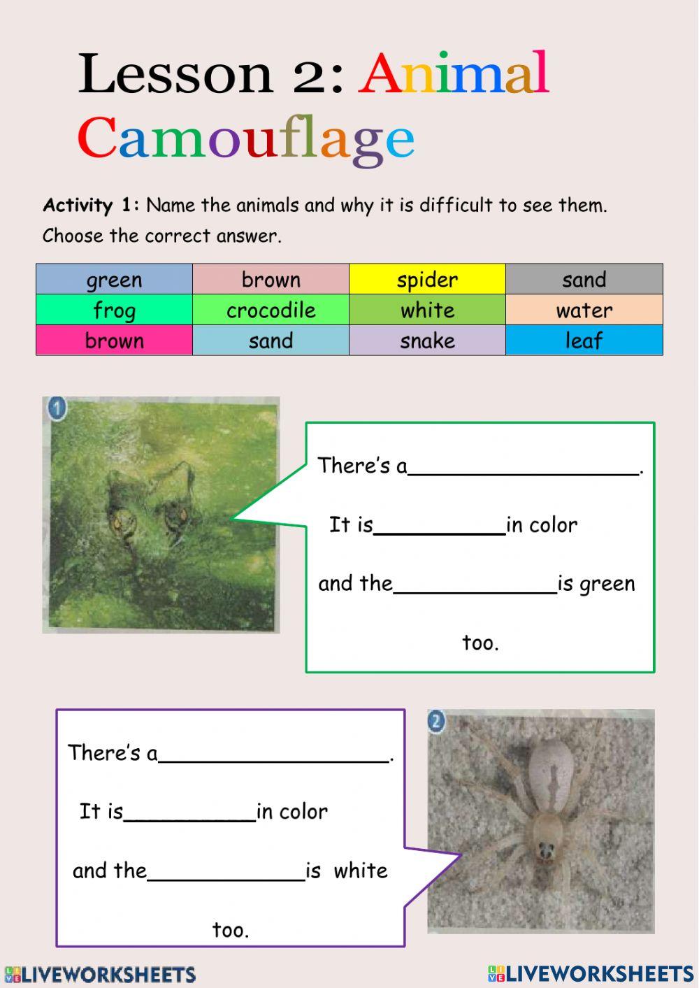 Animal camouflage online exercise | Live Worksheets
