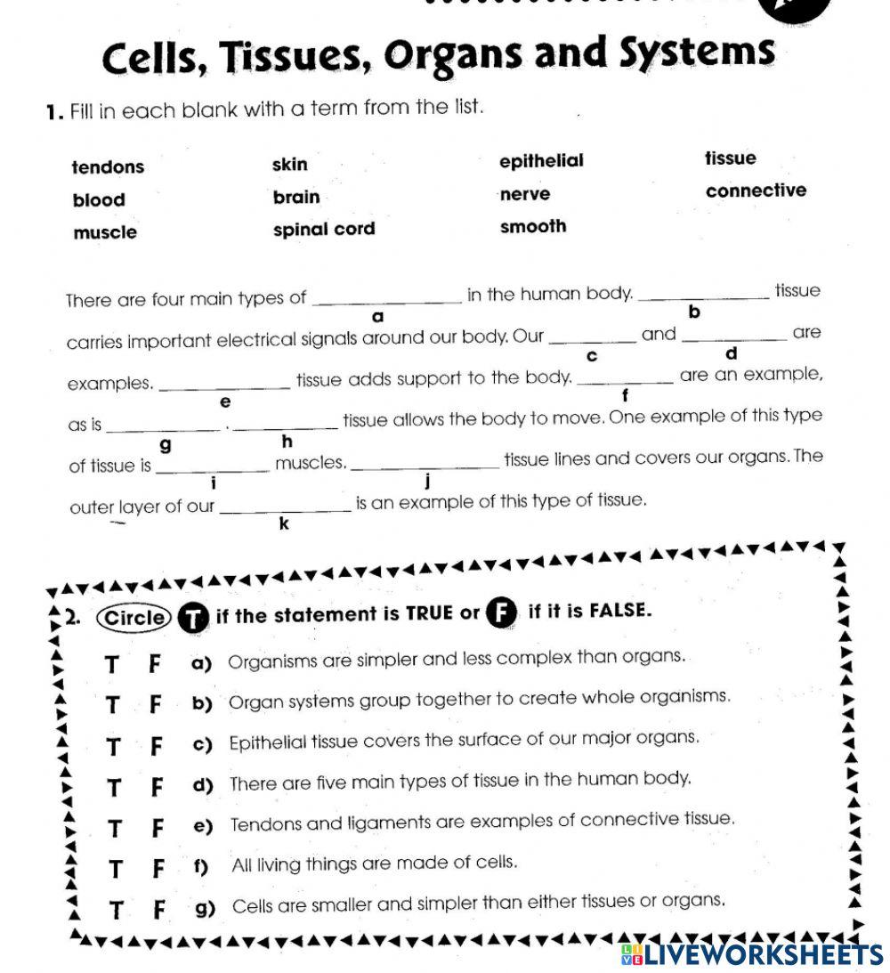 Cells, Tissues, Organs, Organ Systems online exercise for | Live Worksheets