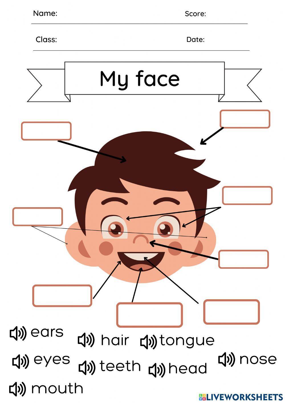 Body parts - My Face interactive worksheet | Live Worksheets