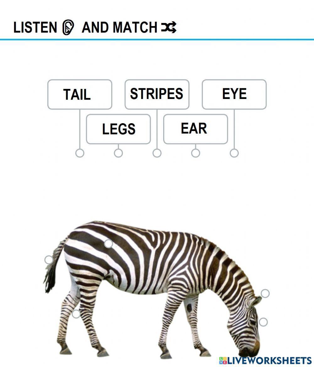 Zebra - body parts worksheet | Live Worksheets