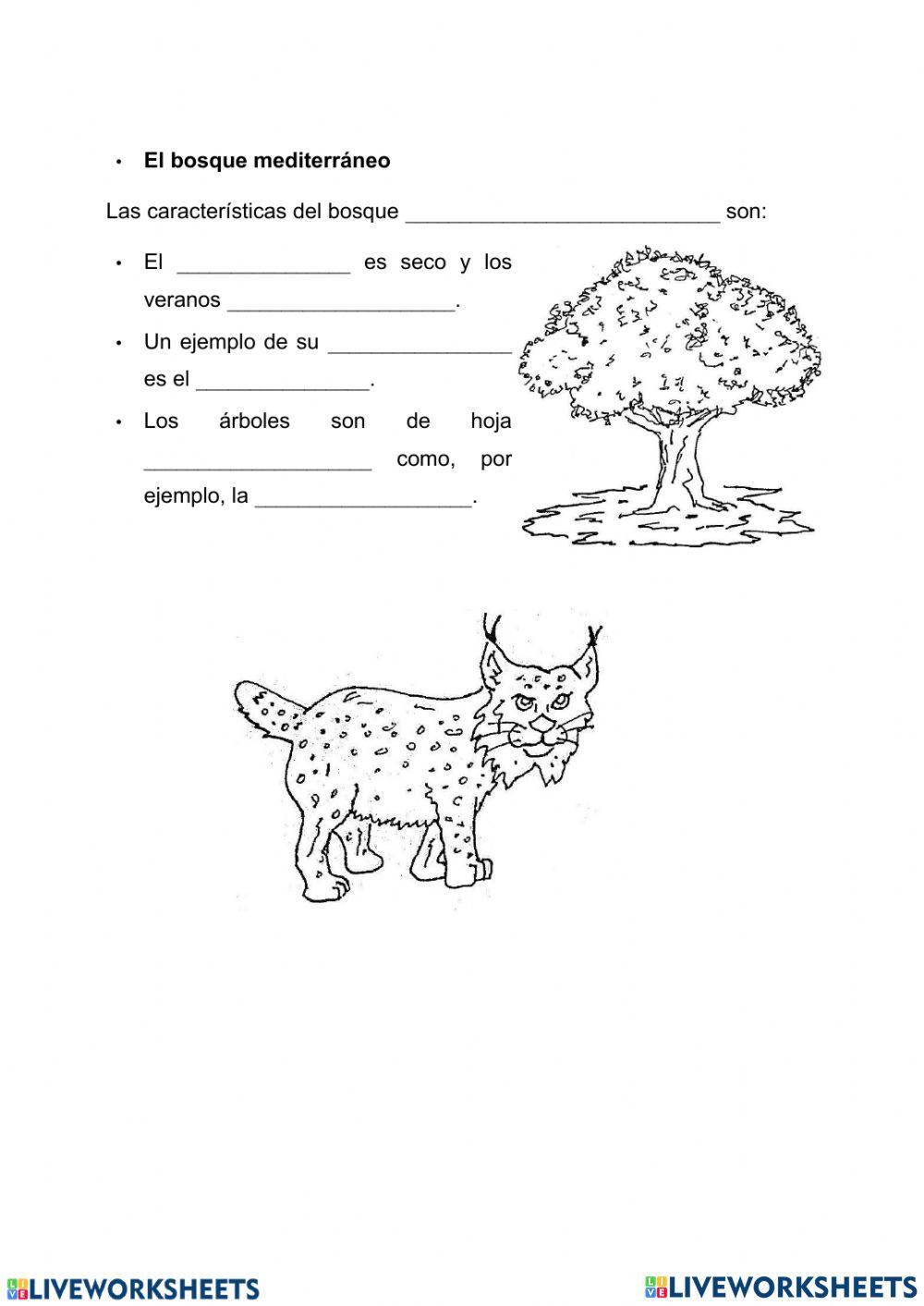 Ecosistemas terrestres