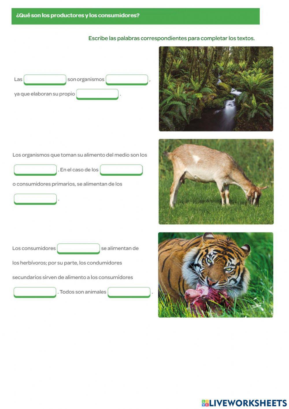 Repaso unidad 4: La vida en los ecosistemas worksheet | Live Worksheets