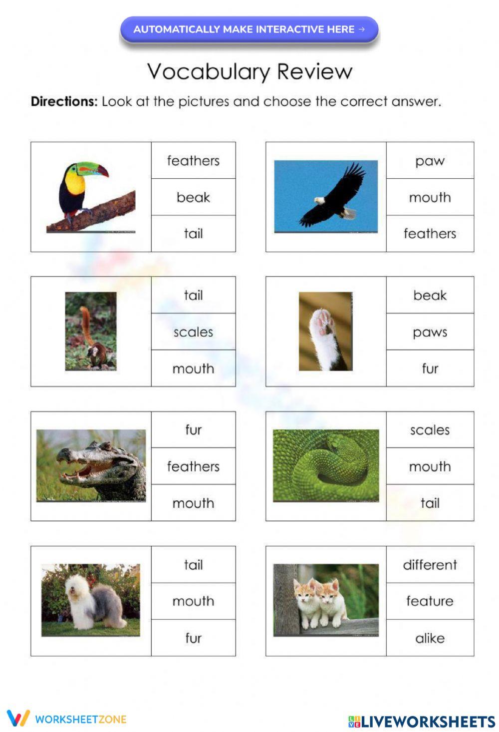 Creature Feature Vocabulary Review