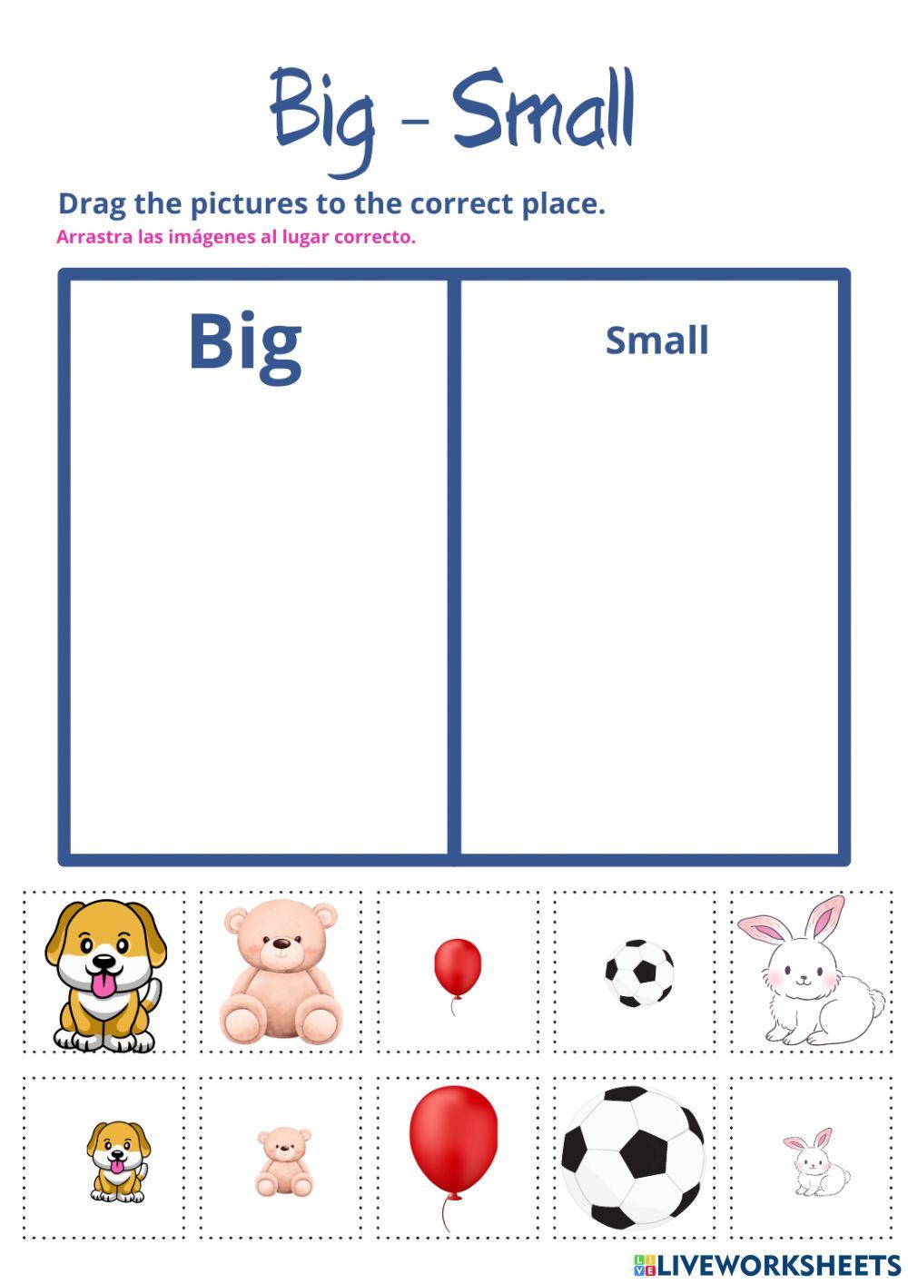 Big and Small  Live Worksheets