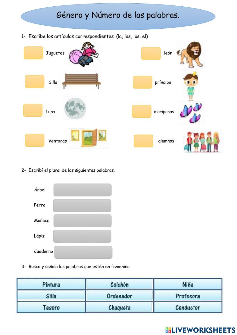 Género y Número interactive worksheet for segundo grado | Live Worksheets